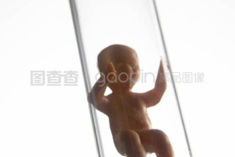 http://jinhua.nbgk120.com/post/209.html|金华捐卵费用