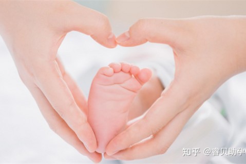 夏天金华捐卵宝宝发烧 莫要急